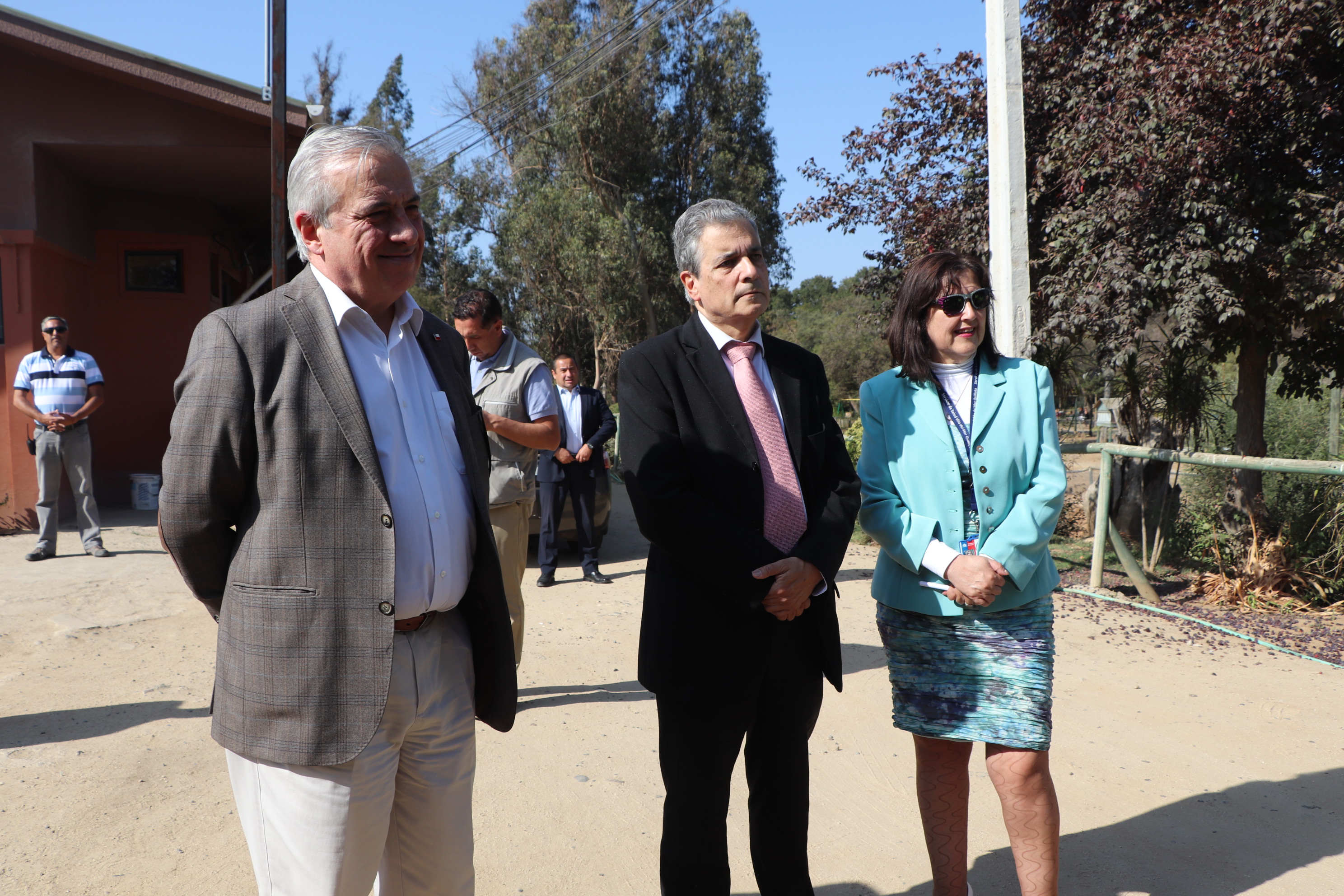 Imagen foto_00000011